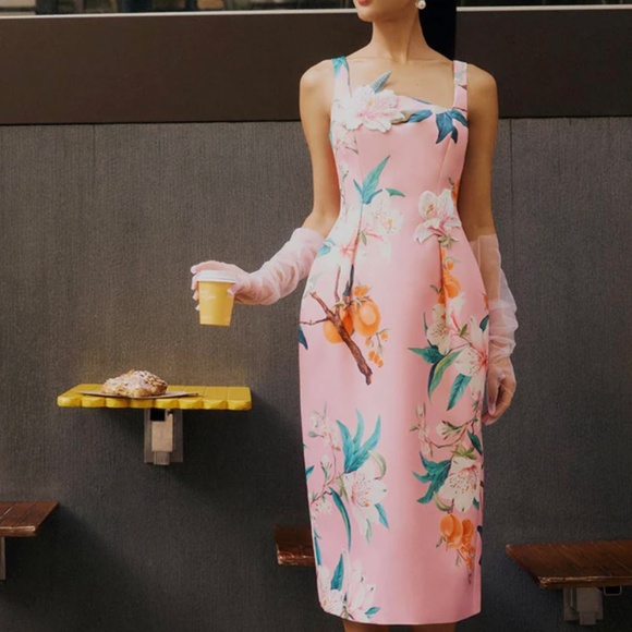 Leo Lin 'Larissa' Midi Dress in Lavish Print in Pink (NWOT) - Picture 11 of 12